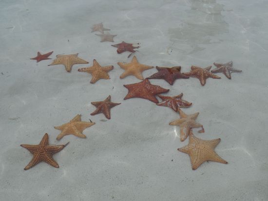 ...ah so ist es schon besser 