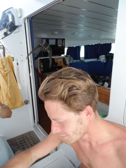 eine Sekunde zu spaet, der Vogel startet gerade wieder aus Chris Haaren in Richtung TV