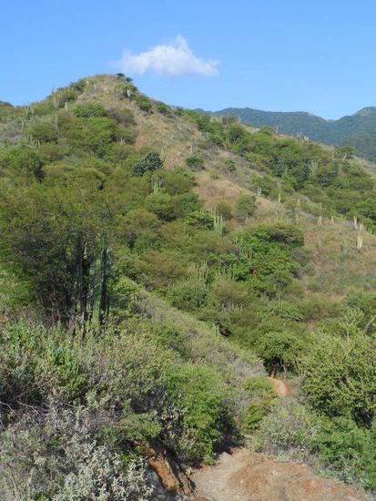 Auf dem Weg zum "grossen Strand"
