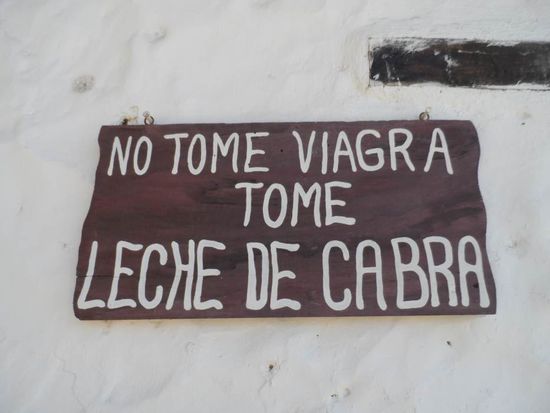 "Nimm kein Viagra - trink Ziegenmilch" Ob es hilft?