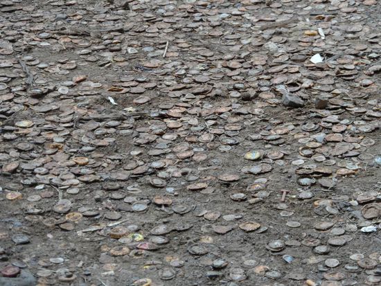 und hier nochmal etwas groesser