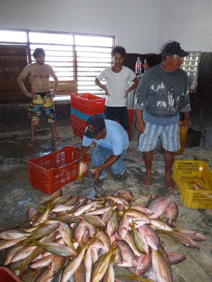 erstmal den Fang sortieren und dann wird eingekauft - 6kg Fisch fuer etwas mehr als 10 Euro