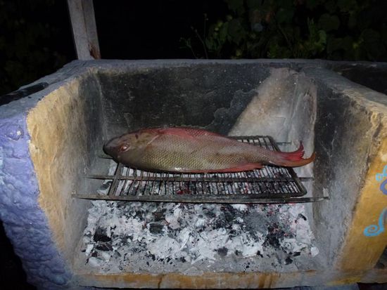 5kg Fisch mit einem Bauch voller Limette, Knofi &amp; Rosmarin *Yumi*
Als "Nachtisch" gab es noch zwei kleine Artgenossen 