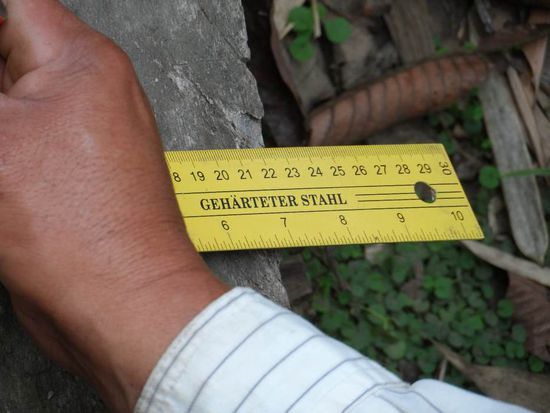 Alejandro: Jetzt fehlt nur noch eine Saege 
Ich: Habe ich
A: Eine Saege?
Ich: Ja
A: ??????