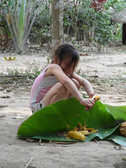 Dochnoch eine Verwendung fuers schweizer Messer.
Die Papaya ist ja auch nicht so hart wie das Holz 