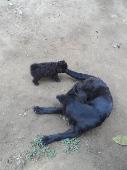 Ganz schoen frech der Kleine