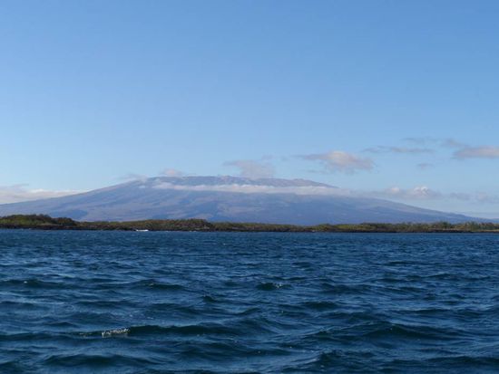 Einer von insgesamt 5 Vulkanen auf der Insel Isabella