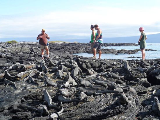 "Passt auf wo ihr hintretet"
Leichter gesagt als getan
