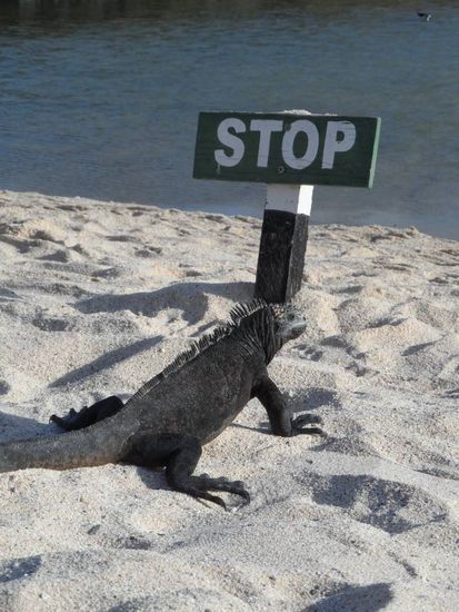 Scheint zu funktionieren 