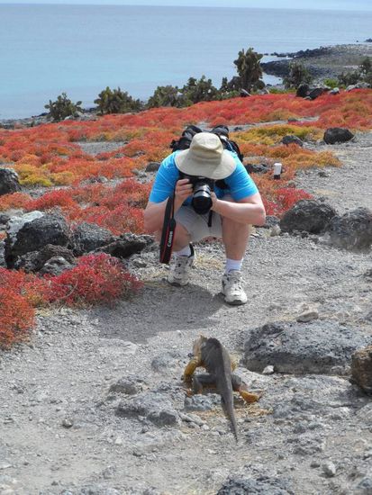 Das ist echt unglaublich wie unbeindruckt die Tiere hier von uns Menschen sind. So etwas gibt es wirklich nur hier auf den Galapagosinseln.