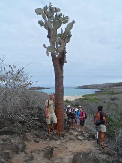 DAS ist mal ein Kaktus