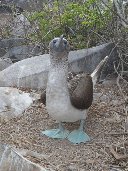 Zeigt her eure Fuesse......