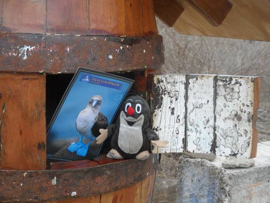 Unser Postkarte geht auf Reise