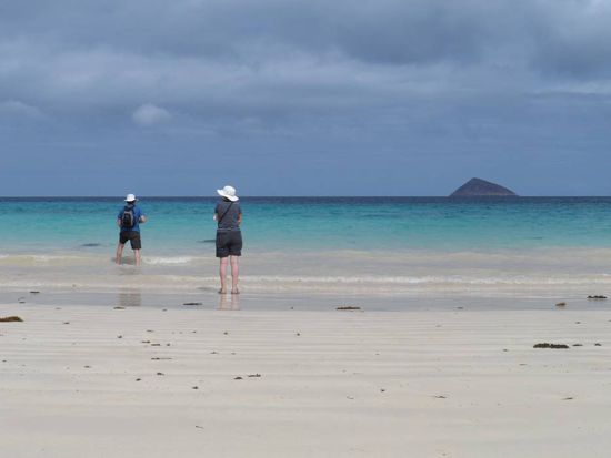 Toller Strand mit Schilkdkroeten und Haien