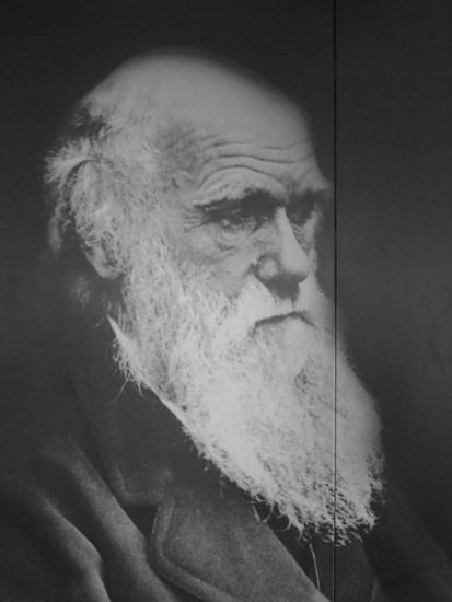 Der wohl beruehmteste Besucher der Galapagos Inseln: Charles Darwin