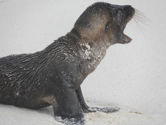 MAAAAAMAAAAAAAA mir ist kalt