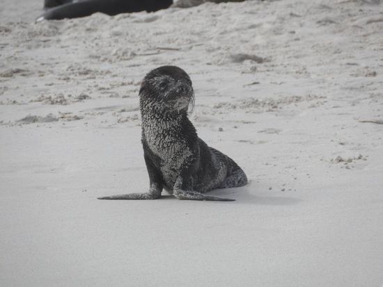 wo sind die nur alle hin???