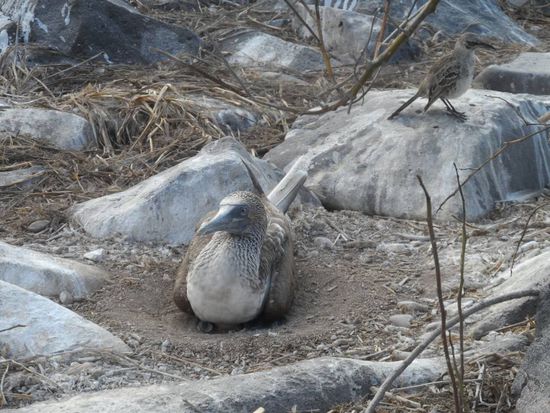 Ich bekomm noch einen Krampf. Erstmal aufstehen