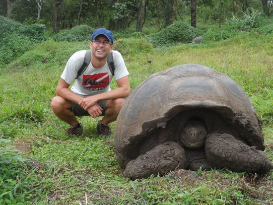 Die Schidlkroeten wiegen bis zu 300kg!!!