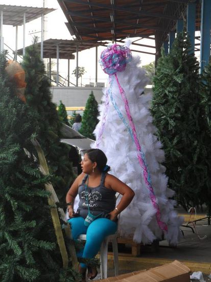 Weihnachtsbaum in weiss gefaellig?