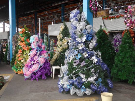 oder schon geschmueckt?