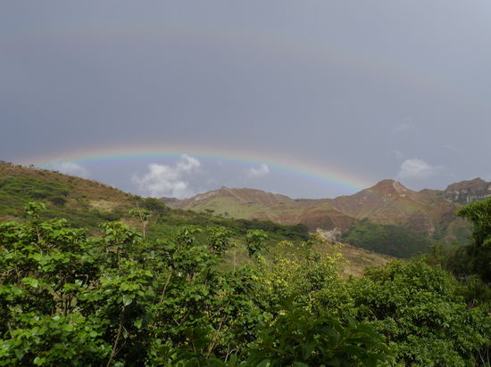 Regenbogen am naechsten Morgen