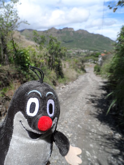 Der Maulwurf und ich gehen wandern.