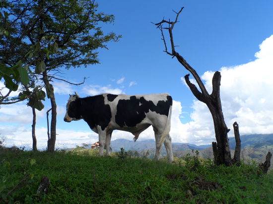 Bin ich falsch abgebogen und schon wieder in Deutschland?