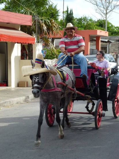 Platz 5: Pferdekutsche, nett dass das Pferd auch einen Hut bekommen hat 