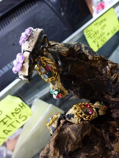 So mal ein kleines Quiz fuer euch: was seht ihr auf diesem Foto?
Hauptpreis: ein eiskaltes Bier im sonnigen Mexiko (Anreise auf eigene Kosten 