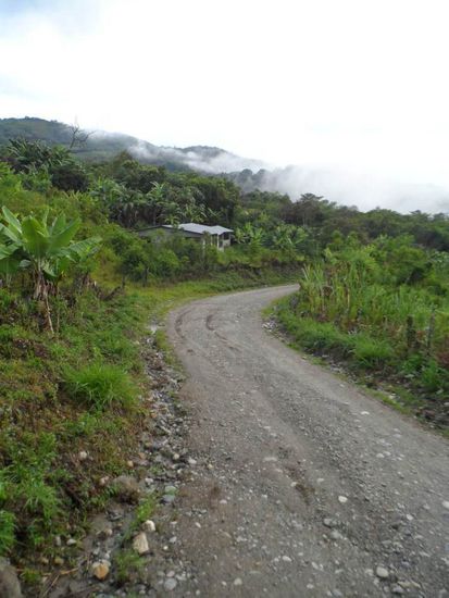 Die letzten km zur Grenze