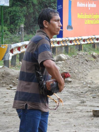 ..ok da ist Nummer 1. Koennen wir den Hahn nicht als zweiten Fahrgast zaehlen und endlich los fahren???