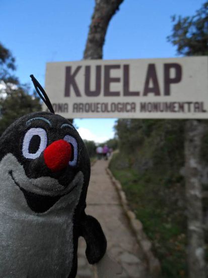 Ruinen von Kuelap - einige Hundert Jahre vor den Inka von den Chachapoya errichtet. Aehnlich wie die Inka wurde beim Bau der Festungsanlage einfach Stein auf Stein gebaut, ohne Zement etc.