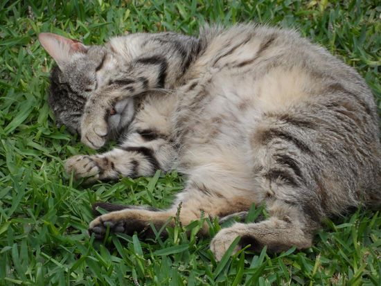 Oh nein wie konntest du nur? Kauf dir doch lieber dieses abschliessbare Modell: