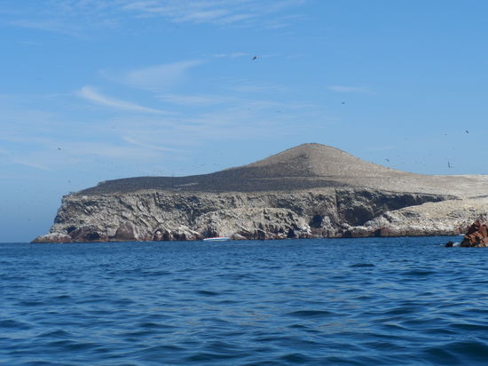 Der schwarze Teil der Insel (links) besteht aus Voegeln