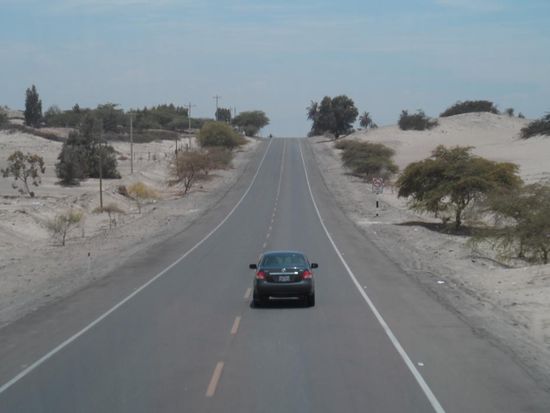 und manchmal sogar ein paar Baeume