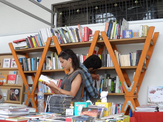 Coole Idee fuer ein Buecherregal - man nehme 6 Leitern und ein paar Bretter. Et voila.