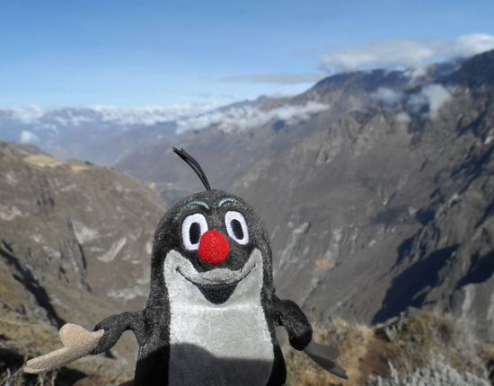 Der Colca Cañon