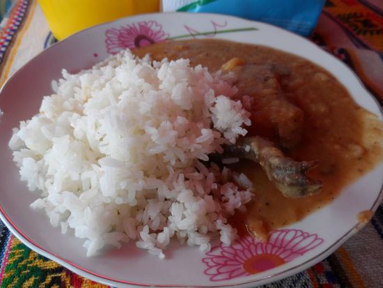 oder mit Reis und Sauce