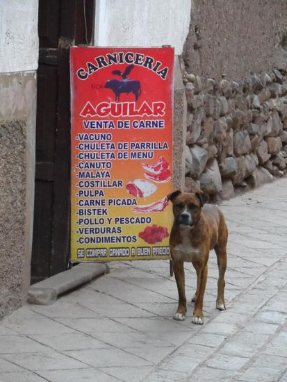 ob sich das warten lohnt????