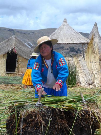 Schritt 2: Schilf drauf