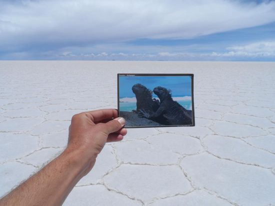 Der wahrscheinlich langsamste Postbote der Welt 
Die Karte von den Galapagosinseln hat es immerhin schon bis Bolivien geschafft. Und bis nach Essen schafft sie es auch noch. Grosses Postbotenehrenwort