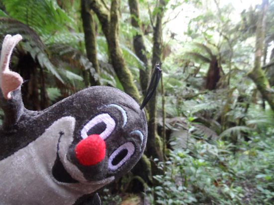 Ach ja, Maulwuerfe gibt es hier natuerlich auch