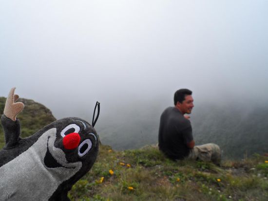 wie sie sehen sehen sie nix