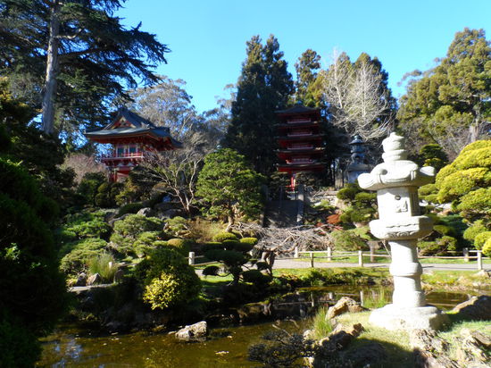Japanese Tea Garden - eine kleine Oase im Golden Gate Park