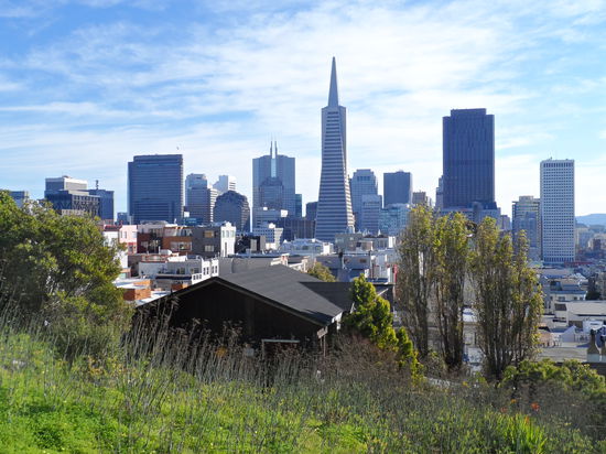 Ausblick vom Telegraph Hill auf die City