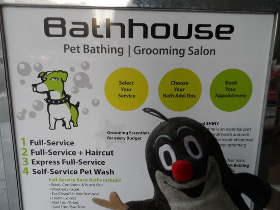 Mhhhhhh Fullservice + Haircut? 