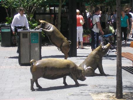 In der Fussgaengerzone sind uns diese Schweine ueber den Weg gelaufen