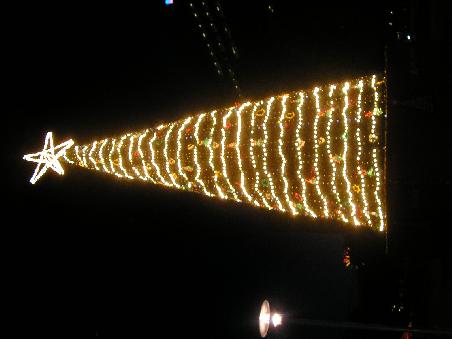 leider falschrum sorry. Gross sind sie ja die Weihnachtsbaeume in Australien.