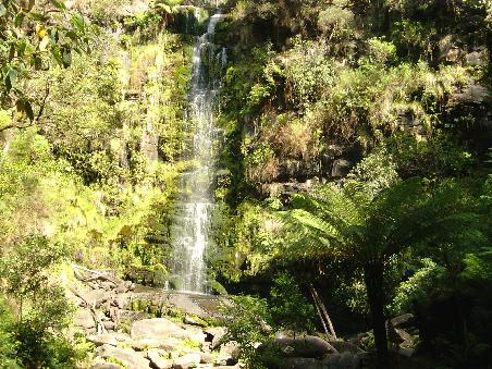 Erskin Falls bis runter zum See musste man 300 Stufen laufen... und das ma fruehen Morgen (11 Uhr oder so wars da)